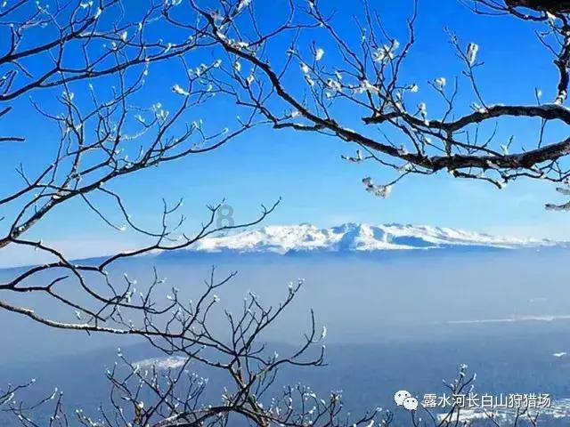 《要久久爱》:一张遗愿清单,暴露丁也10年不写作的原因,瀛子被骗了