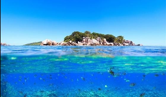 海滩棚屋逃生