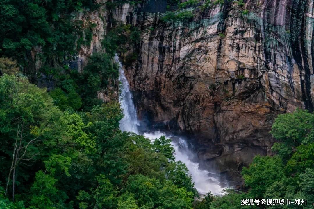 逃离梦想花园