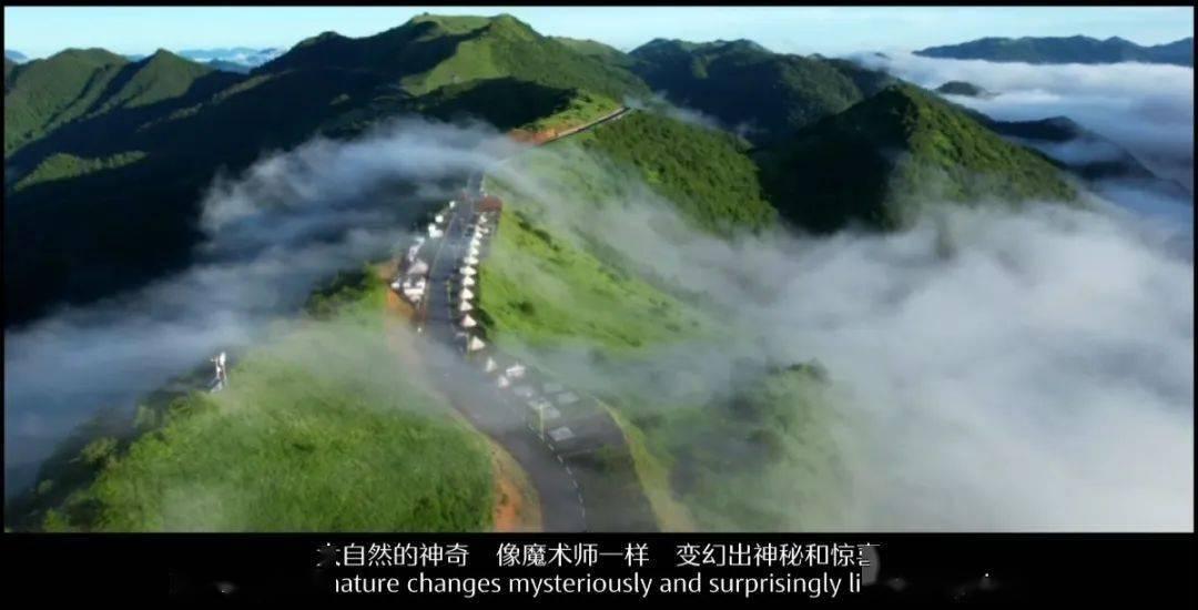 国泰君安:集装箱行业拐点有望到来